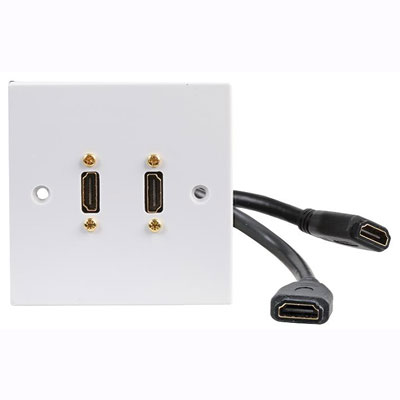 Dual HDMI (Fly) SG wall plate